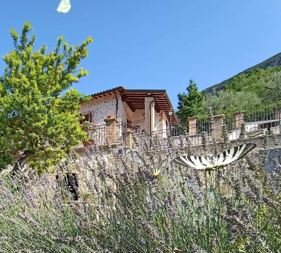 Pucci Country House Ferentillo Exterior foto
